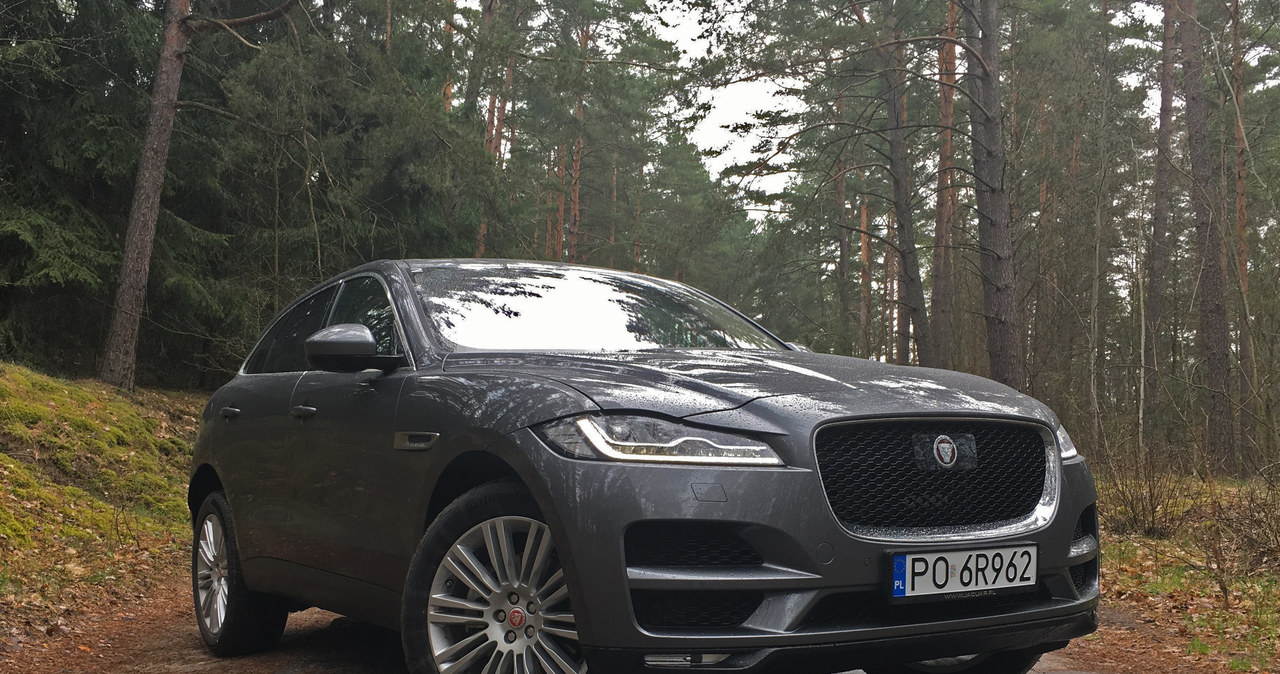 Jaguar F-Pace /INTERIA.PL