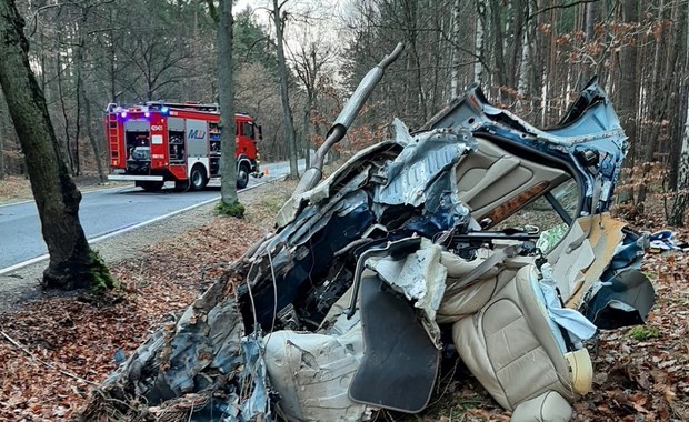 Jaguar roztrzaskał się o drzewo. Zginęli 17 i 15-latek