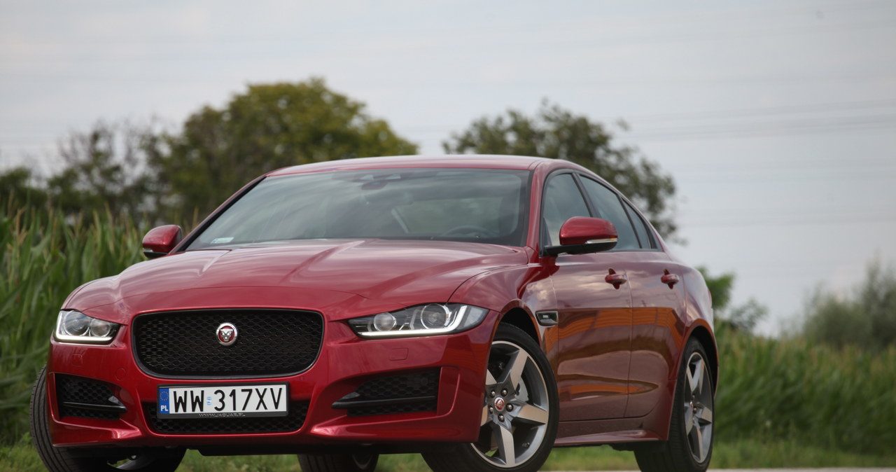 Jaguar XE 25d AWD R-Sport /INTERIA.PL