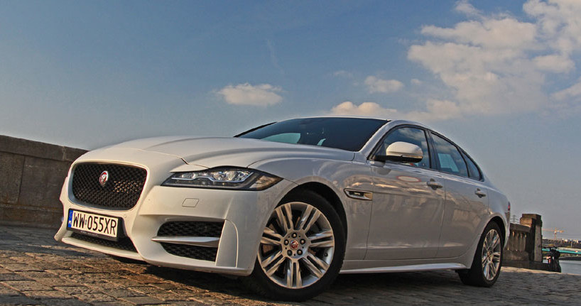 Jaguar XF 3.0 TDV6 RWD Auto R-Sport /INTERIA.PL