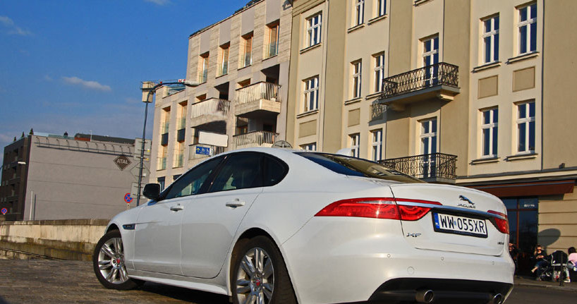 Jaguar XF 3.0 TDV6 RWD Auto R-Sport /INTERIA.PL