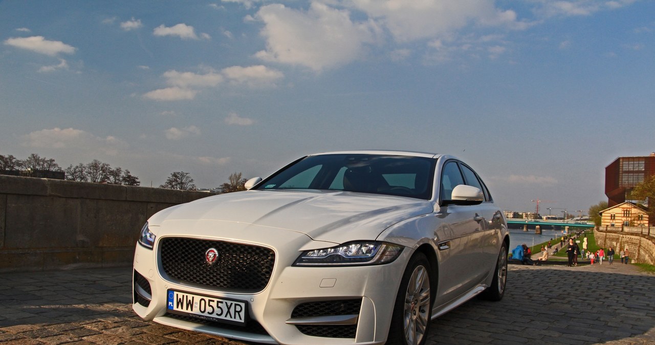 Jaguar XF /INTERIA.PL