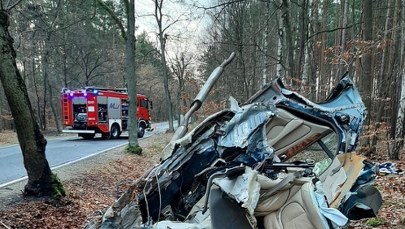 Jaguar z impetem wbił się w drzewo. Zginęli dwaj młodzi mężczyźni [ZDJĘCIA]