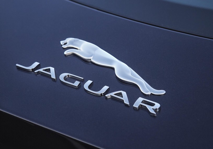 Jaguar zainwestuje w Polsce? /Informacja prasowa
