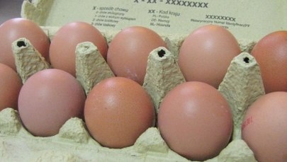 Jaja droższe od mięsa drobiowego. "Ta niespotykana sytuacja może się pogłębiać"