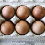 Jaja skażone fipronilem dotarły do Polski