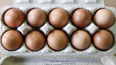 Jaja skażone fipronilem dotarły do Polski