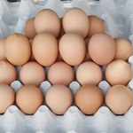 Jaja z chowu klatkowego znikają ze sklepów. Hodowców czekają wielkie zmiany