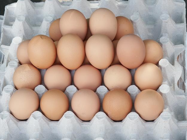 Jaja z chowu klatkowego znikają ze sklepów /&copy; Bauer