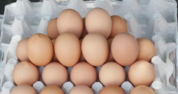 Jaja z chowu klatkowego znikają ze sklepów /&copy; Bauer