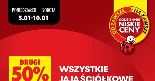 Jaja z rabatem 50% w Biedronce /Biedronka /INTERIA.PL