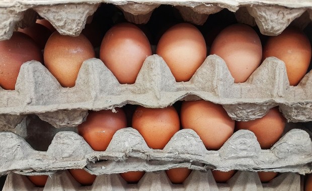 Jajka mogą być jeszcze droższe. Złe wiadomości przed Wielkanocą