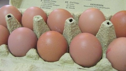 Jajka najdroższe od pięciu lat. Przed Bożym Narodzeniem jeszcze podrożeją