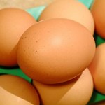 Jajka rekordowo drogie w UE
