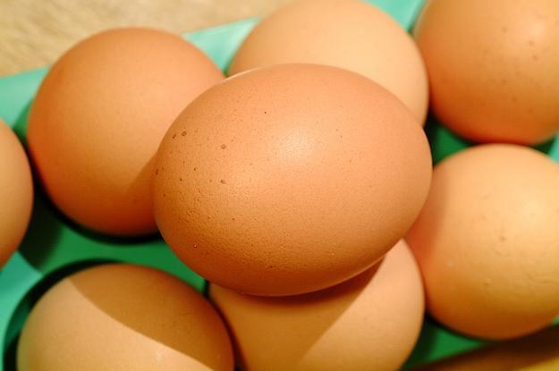 Jajka są w Unii rekordowo drogie /&copy; Bauer