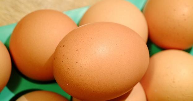 Jajka są w Unii rekordowo drogie /&copy; Bauer