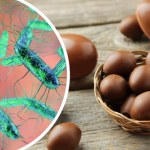 Jajka z niespodzianką, czyli salmonella w produktach spożywczych. Na to uważaj