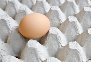 Jajka "zerówki" są zdrowsze niż z chowu klatkowego? Zaskakujące wyniki badań