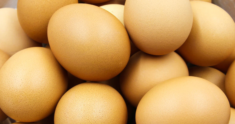 Jajko nie powinno mieć zbyt gładkiej, błyszczącej skorupki. Najlepsze jakości są te lekko matowe i chropowate w dotyku /123RF/PICSEL