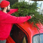 Jak bezpiecznie przewieźć choinkę samochodem? Wielu kierowców o tym nie wie