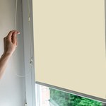 Jak czyścić rolety okienne? Dowiedz się, jak pozbyć się szkodliwej pleśni