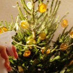 Jak dbać o choinkę przez całe święta? Oto sprawdzone sposoby, by nie gubiła igieł