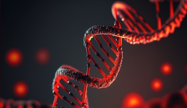Jak długo przetrwa DNA? Antarktyda może skrywać najstarsze próbki