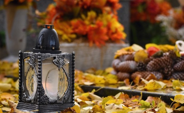  Jak dojechać na cmentarze w Trójmieście? Podpowiadamy