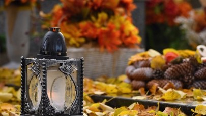  Jak dojechać na cmentarze w Trójmieście? Podpowiadamy