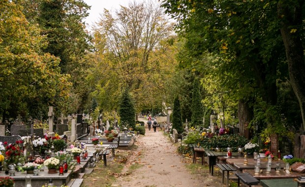 Jak dojechać na cmentarze? Wszystkich Świętych w Trójmieście