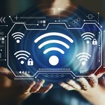 Jak działa sieć Mesh Wi-Fi? Prosty sposób na Internet w całym domu