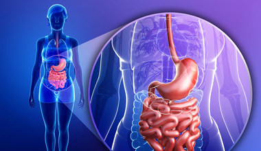Jak działa układ pokarmowy?