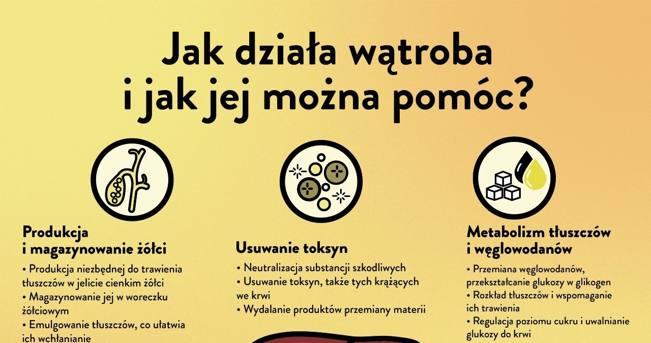 Jak działa wątroba i jak jej można pomóc? - infografika /materiały promocyjne