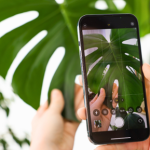 naukowcy Jak działają aplikacje do rozpoznawania roślin? Wiadomo, kiedy im nie ufać