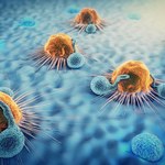 Jak działają limfocyty T i B? To nasza najlepsza ochrona 