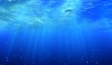 Jak głęboki jest ocean? To praktycznie inny i nieznany świat