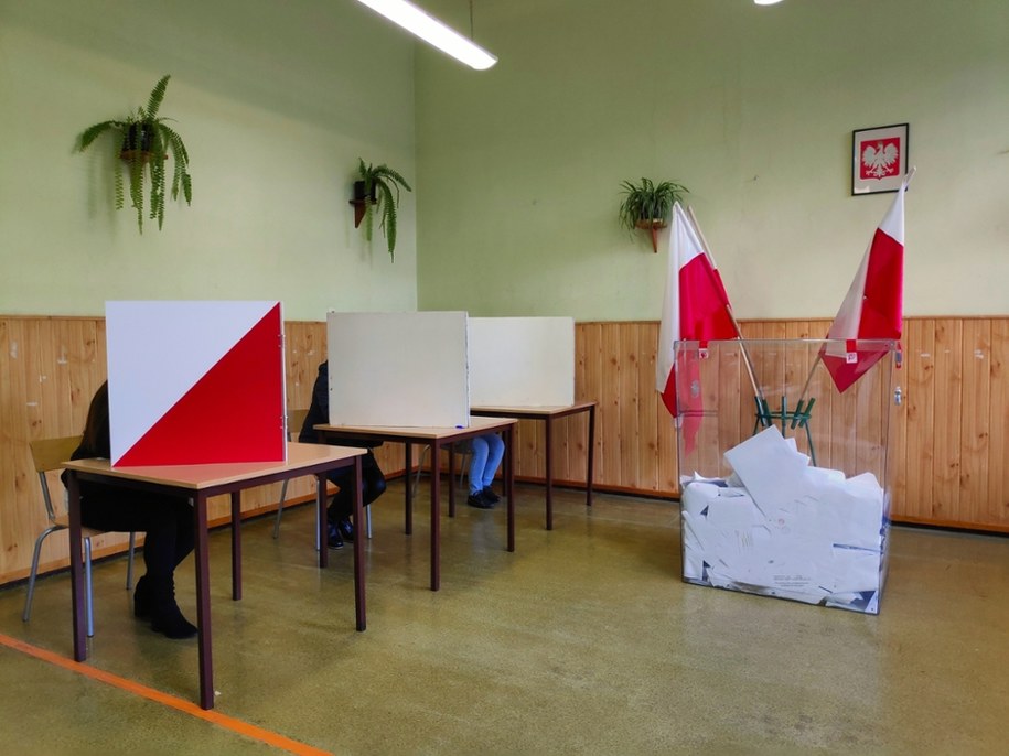 Jak głosować w niedzielnych wyborach? /Shutterstock