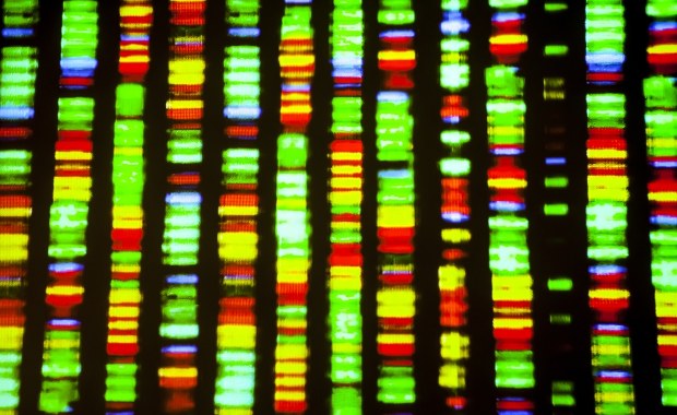 Jak klasyfikować miliony wirusów? Polski program robi to w rekordowym czasie