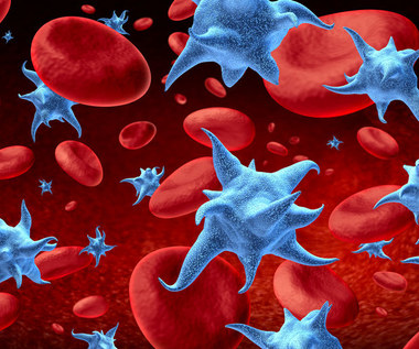 Jak naturalnie zwiększyć produkcję płytek krwi?