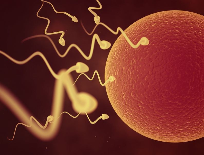 Jak obiecali eksperci Kallistem, w 2017 roku na świat przyjdzie pierwsza osoba, stworzona z wykorzystaniem sztucznej spermy. /123RF/PICSEL