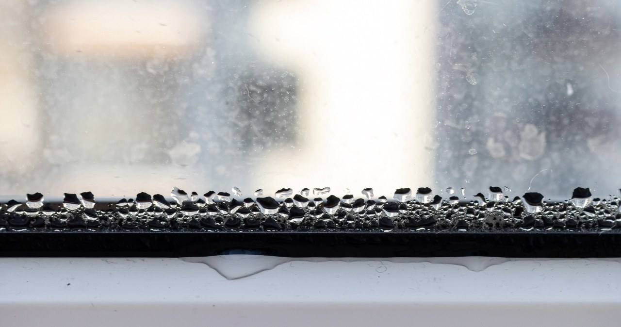 Jak ochronić mieszkanie przed wilgocią? Węgiel aktywny może ci w tym pomóc /123RF/PICSEL