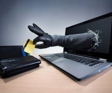 Jak ochronić swoją działalność przed internetowymi oszustami?