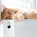 ​Jak odpowietrzyć kaloryfer? Praktyczny poradnik krok po kroku