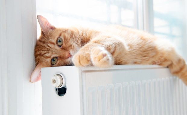 ​Jak odpowietrzyć kaloryfer? Praktyczny poradnik krok po kroku