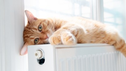 ​Jak odpowietrzyć kaloryfer? Praktyczny poradnik krok po kroku