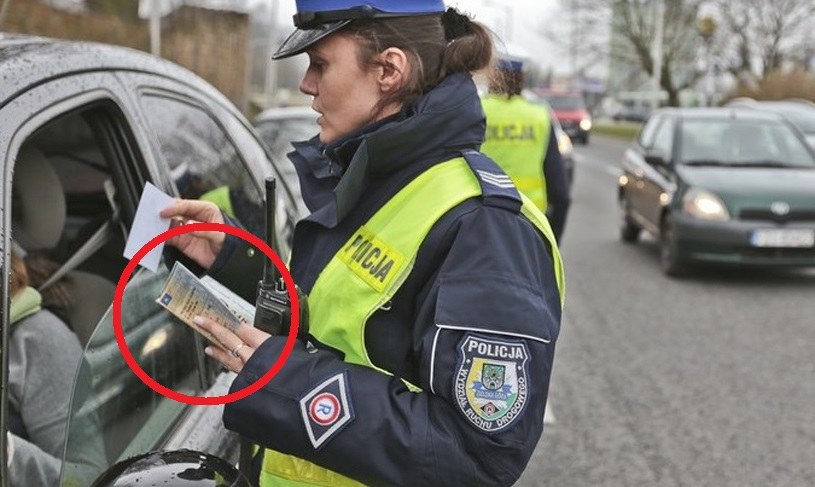Jak odzyskać dowód rejestracyjny zatrzymany przez policję? /Fot. Piotr Jedzura /Reporter