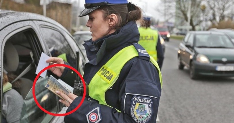 Jak odzyskać dowód rejestracyjny zatrzymany przez policję? /Fot. Piotr Jedzura /Reporter