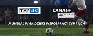 Jak oglądać mundial w Ultra HD 4K?