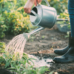Jak oszczędzać wodę w domu i ogrodzie?