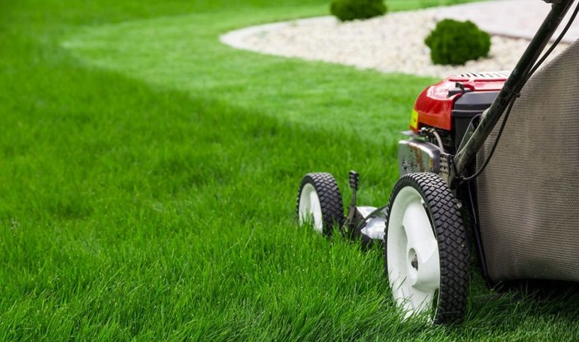 Jak pielęgnować trawnik latem i jak dbać o trawnik w upały? /123RF/PICSEL